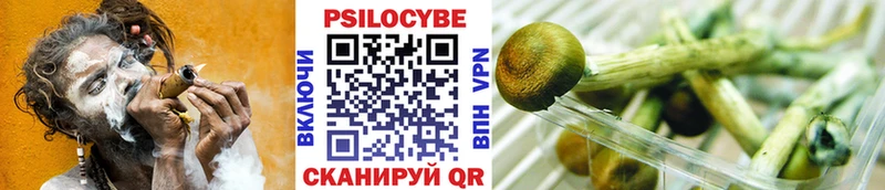 Купить  Ликино-Дулёво  Галлюциногенные грибы мухоморы 